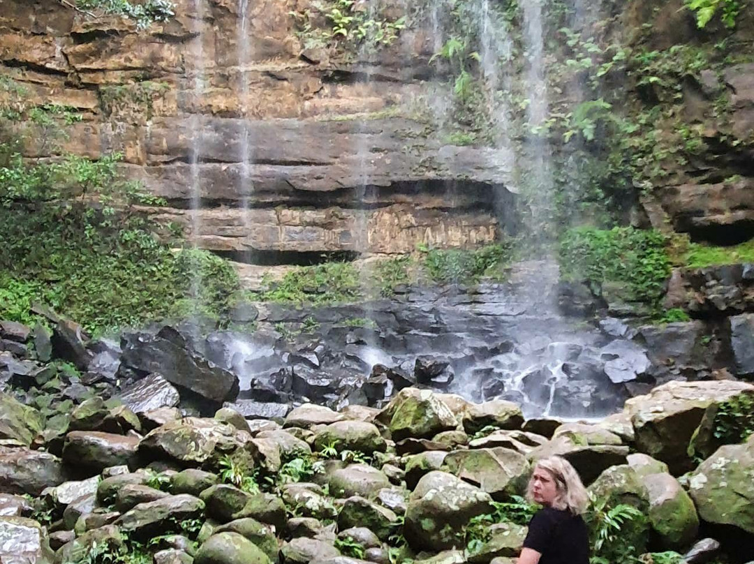 Gap Creek Falls Trail景点图片