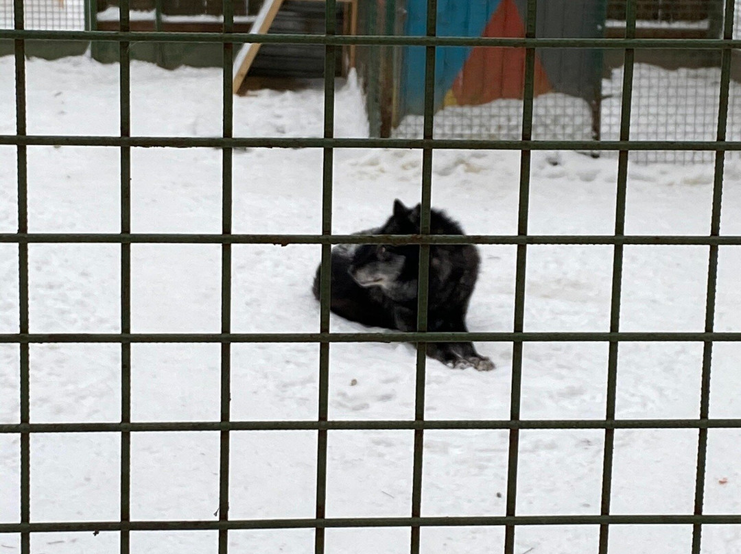 Zoo Park in Kostroma景点图片