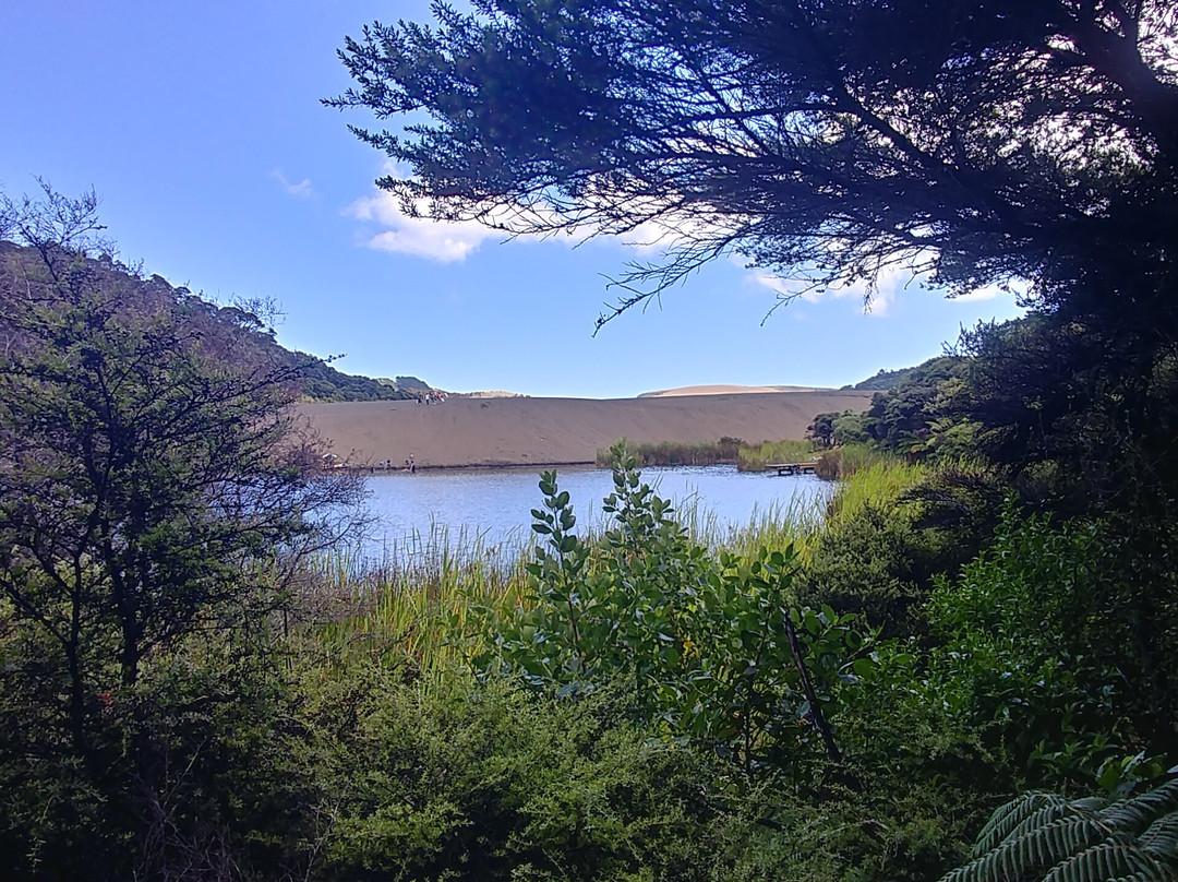 Lake Wainamu景点图片