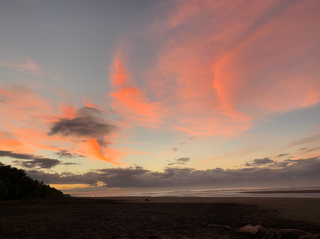 Encantada Ocean Cottages主图