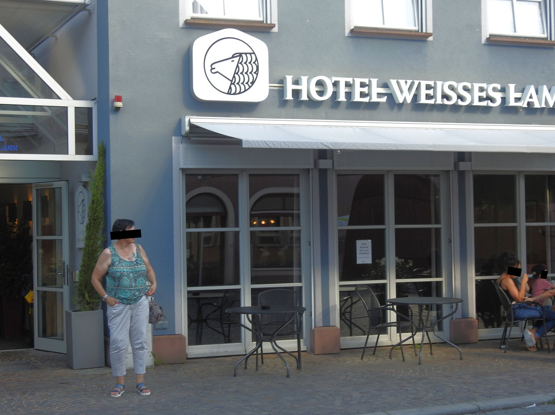 Hotel Weisses Lamm主图