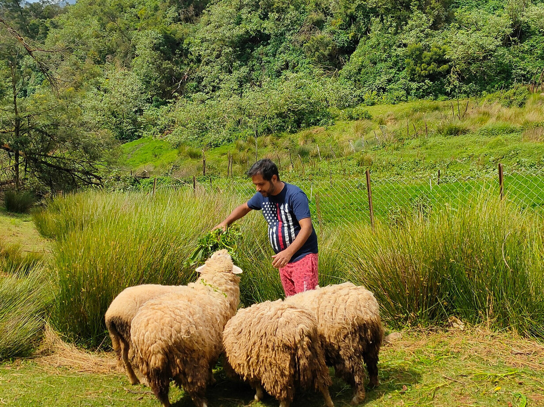 德斯蒂尼农场酒店主图