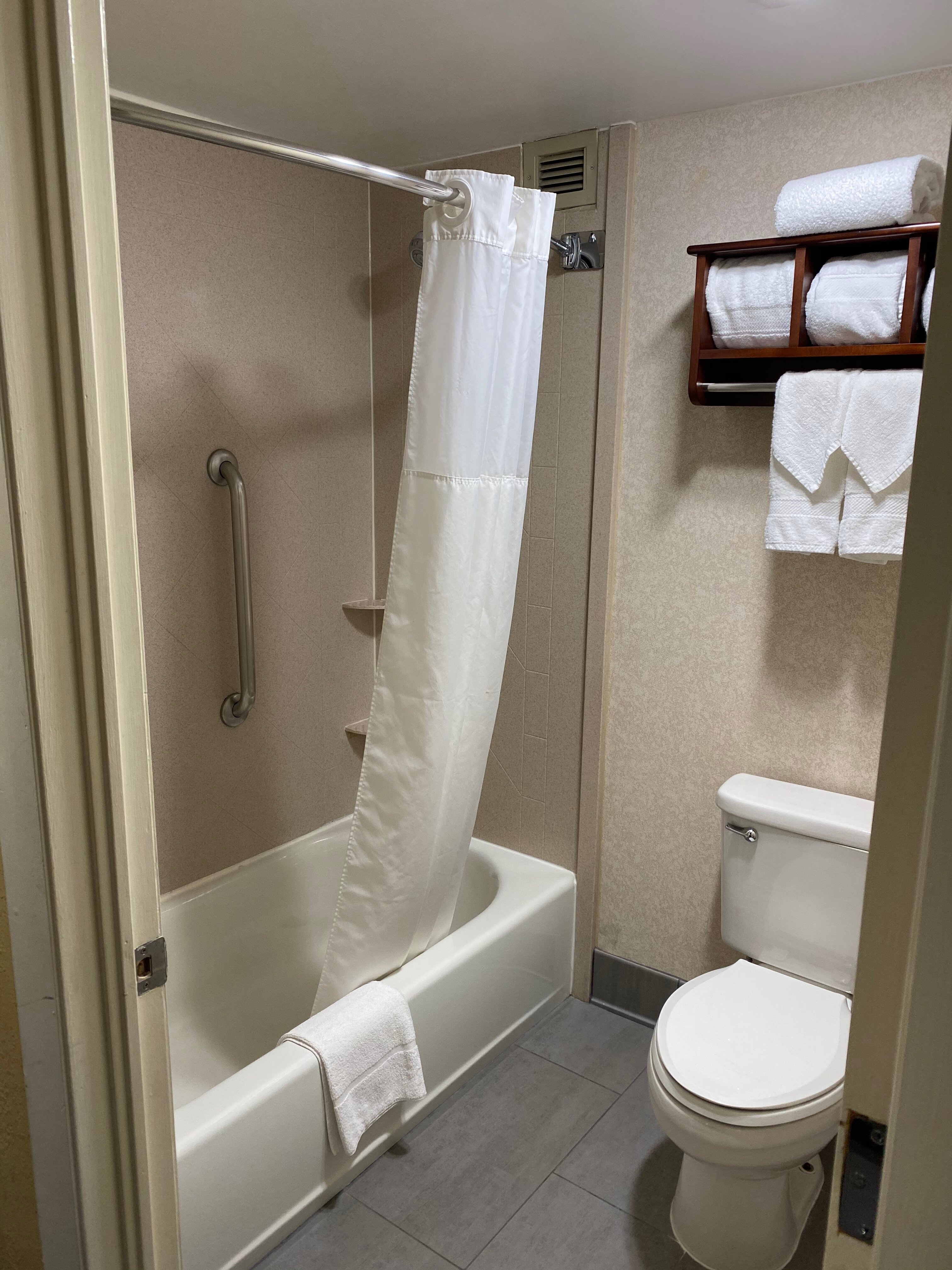 华盛顿杜勒斯国际机场南希尔顿恒庭酒店-浴室