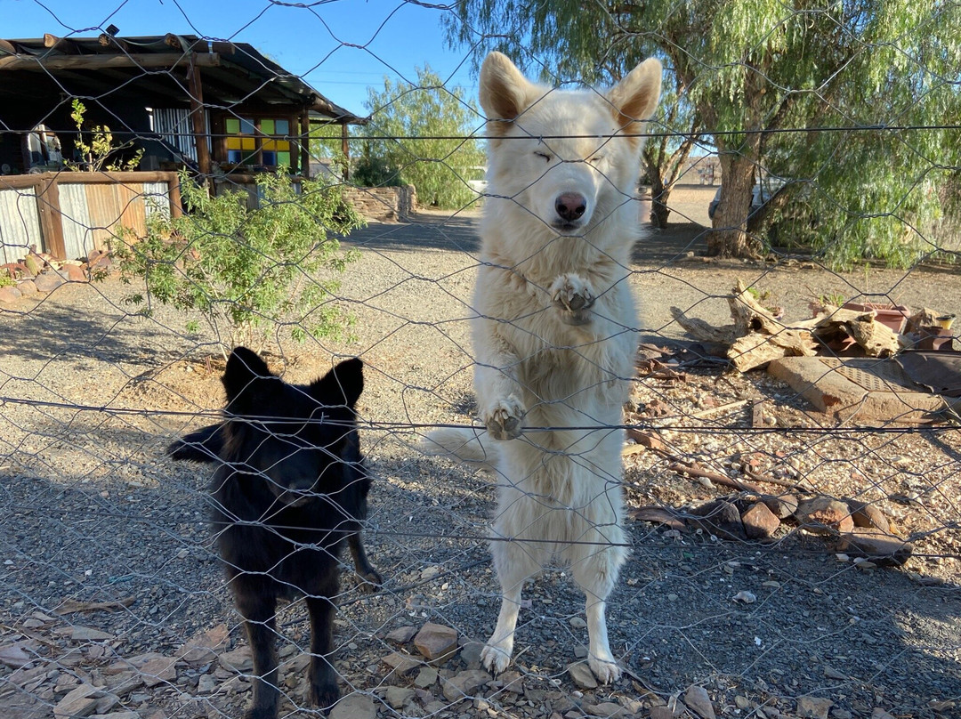 Brandvlei旅游攻略图片