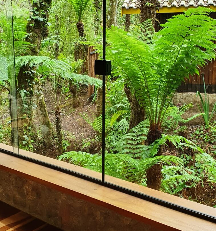 Pousada Villa D'Amore主图