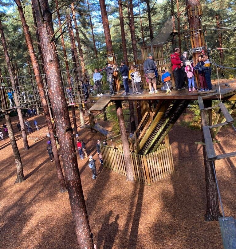 Go Ape Bracknell-布拉克内尔必去景点