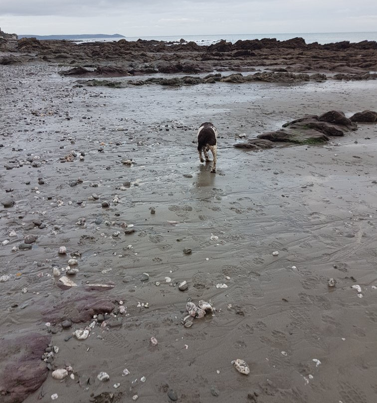 Downderry Beach-Downderry必去景点