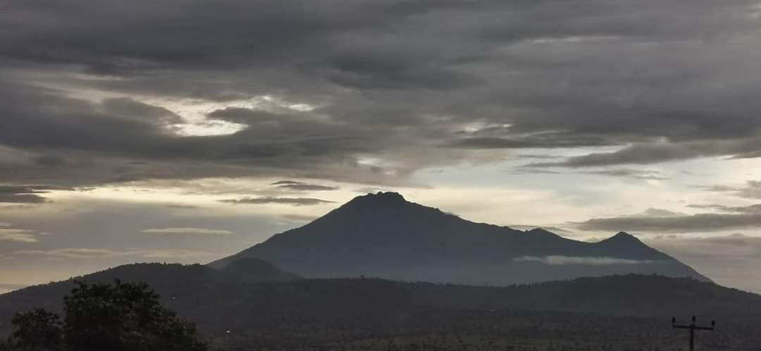 Panone Hotel Sakina主图