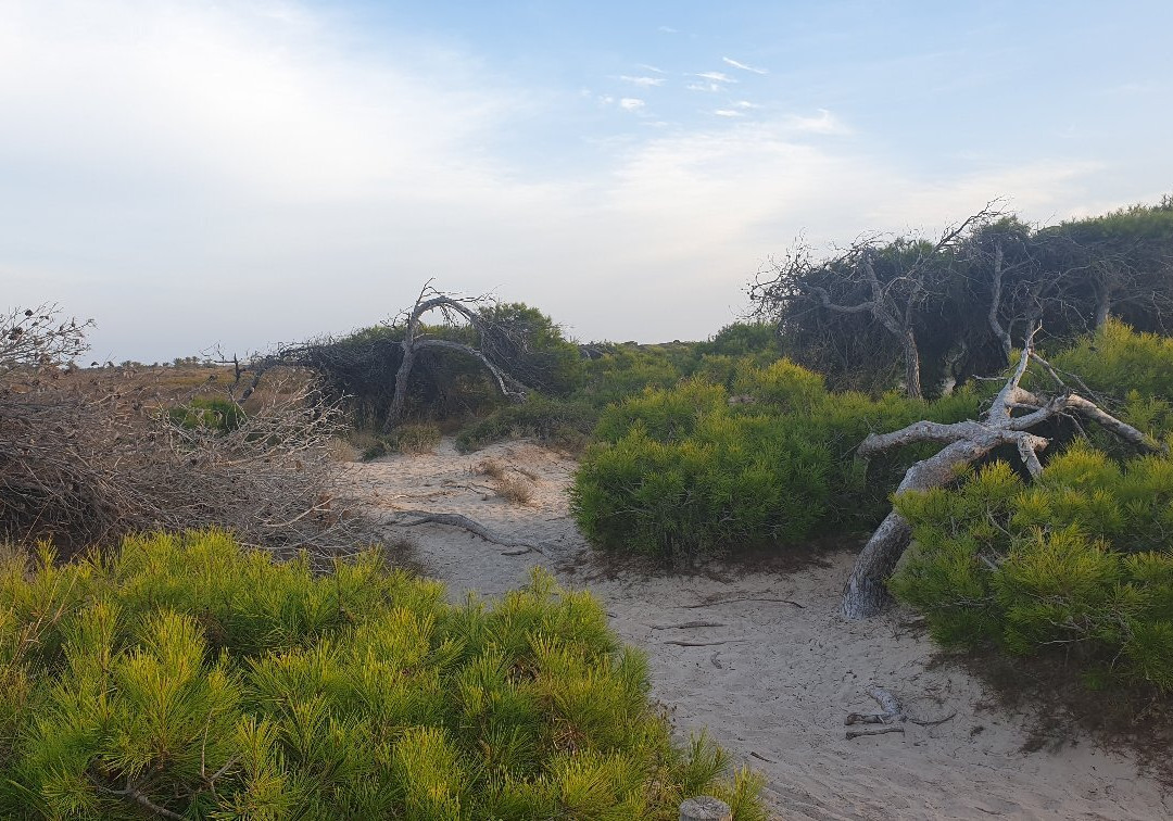 Parque Regional Salinas景点图片