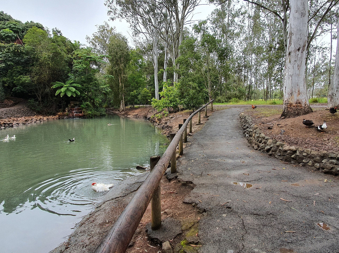 Platypus Park- 阿瑟顿必去景点