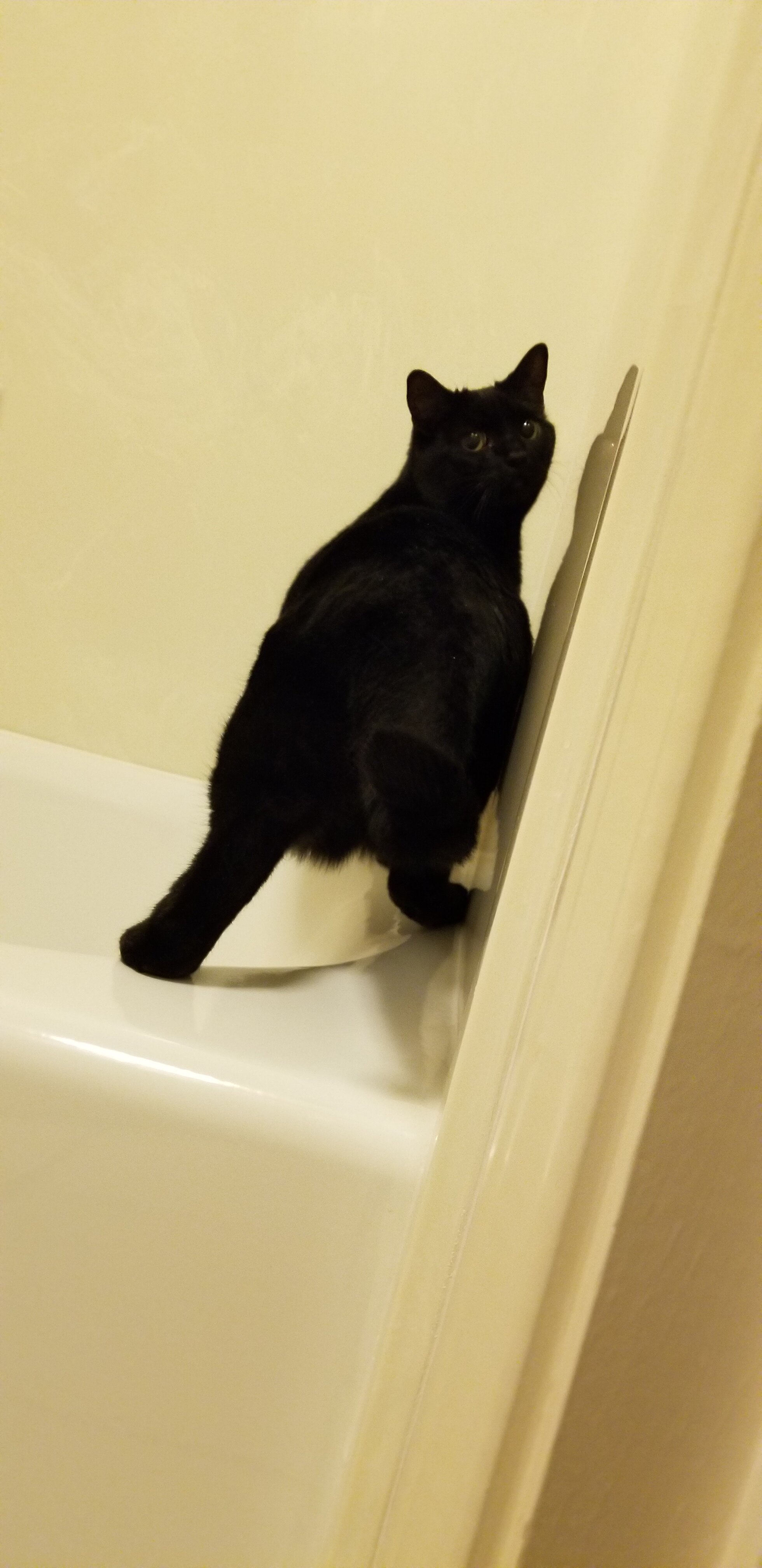 The Bard's Inn, BW Signature Collection-浴室