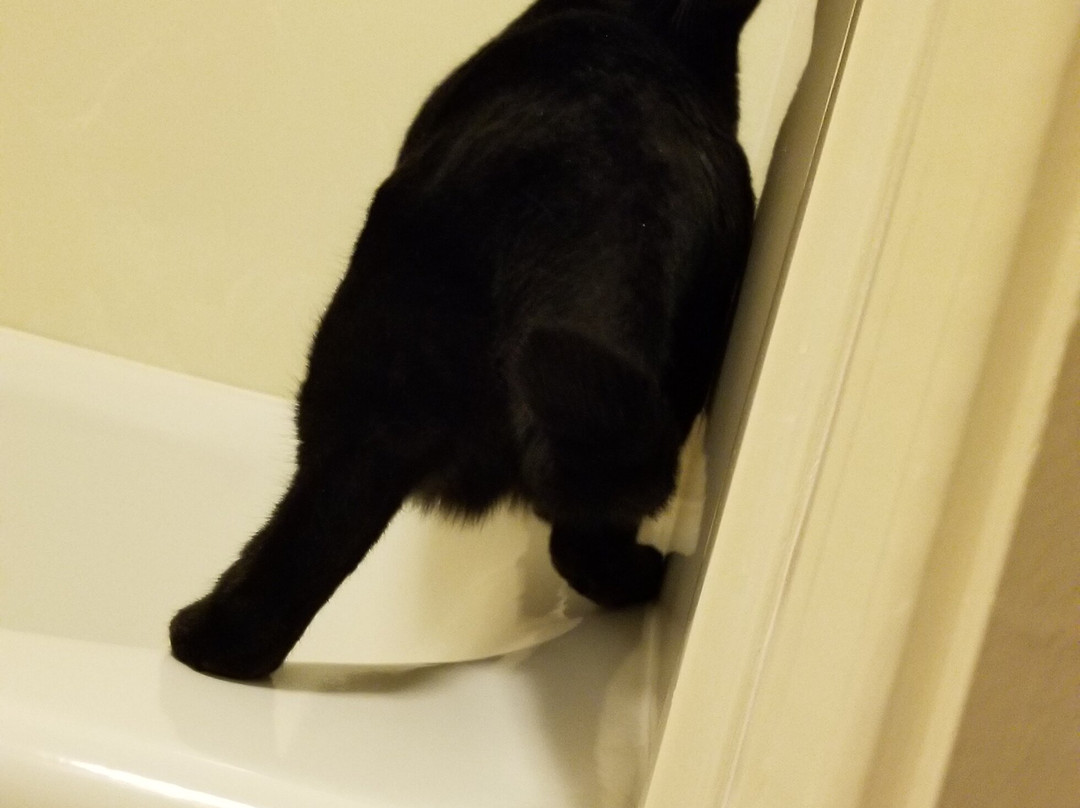 The Bard's Inn, BW Signature Collection主图