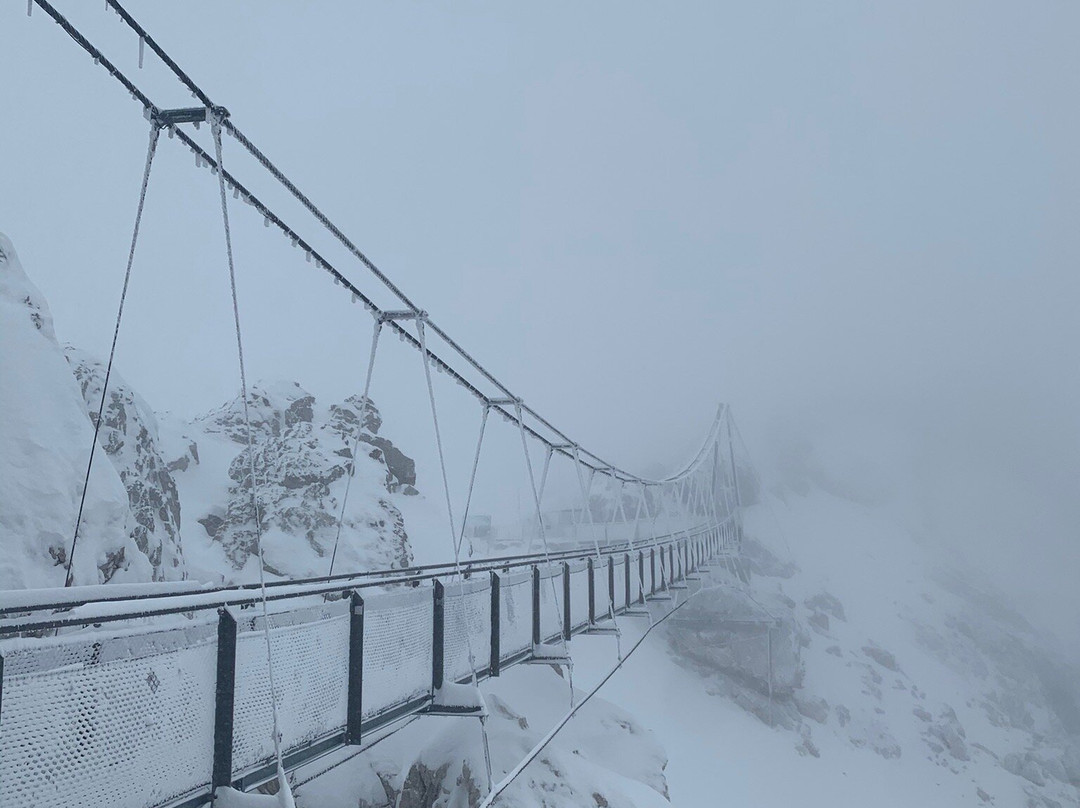 Dachstein Suspension Bridge-阮绍必去景点