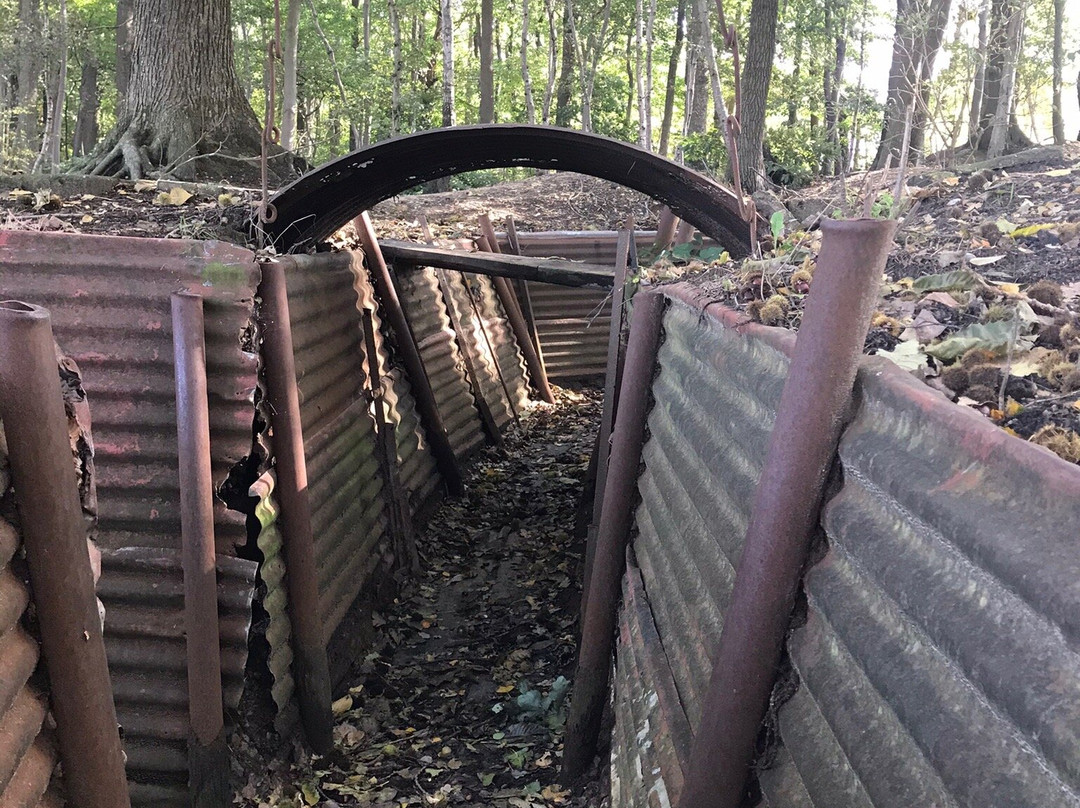 Sanctuary Wood Museum景点图片