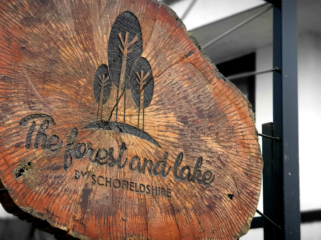 The Forest and Lake by Schofieldshire主图