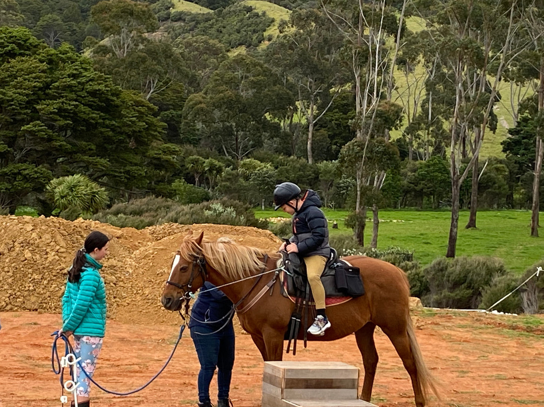 Sandy Bay Horses景点图片