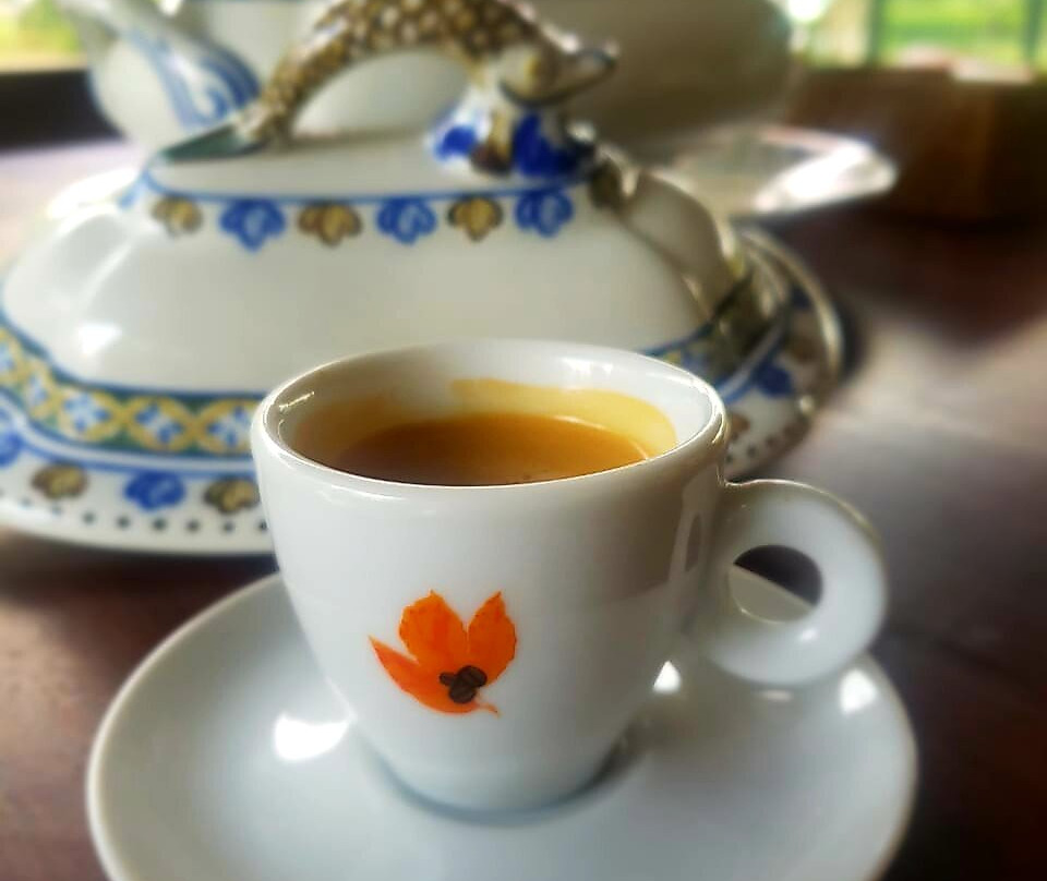 Fazenda Camocim景点图片