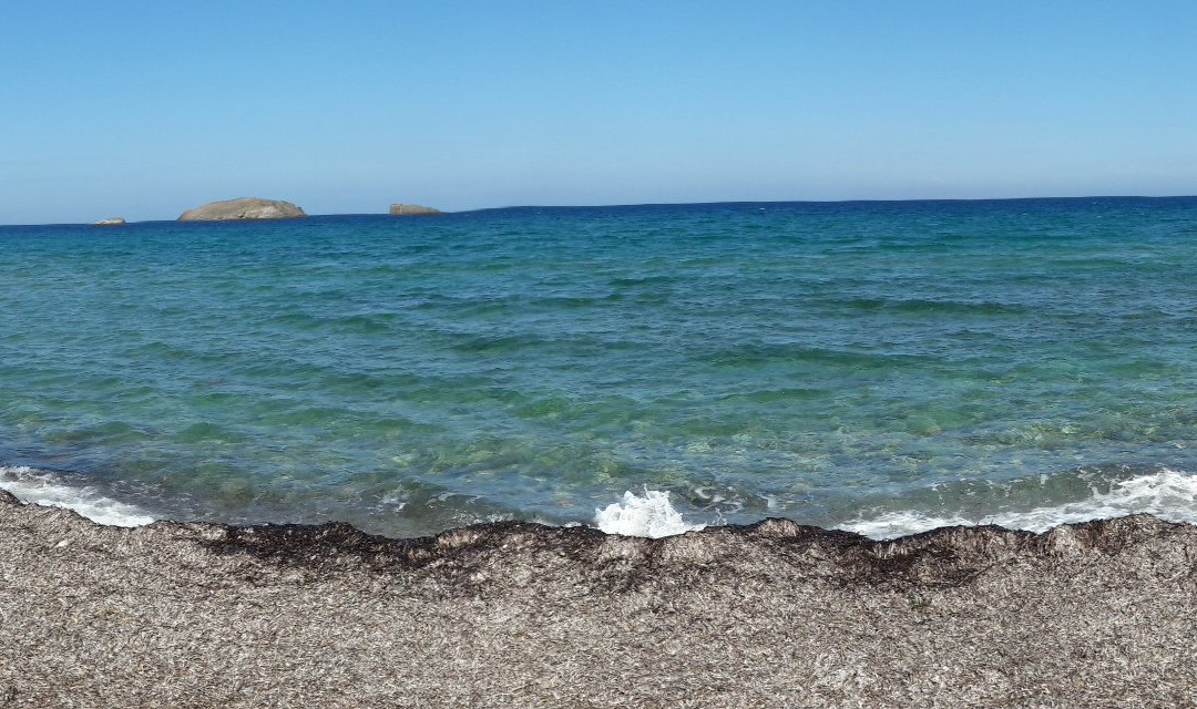 Pachaina Beach-Pachena必去景点