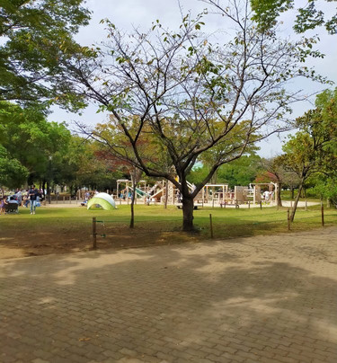 Showa Sogo Park-春日部市必去景点