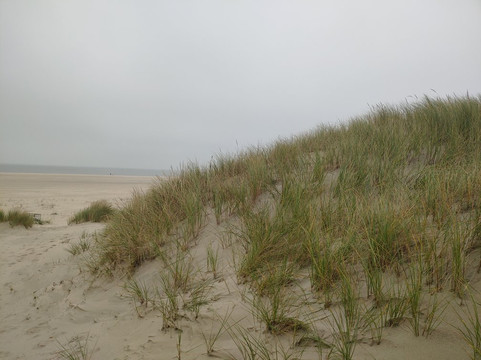 Watt-Baltrum必去景点