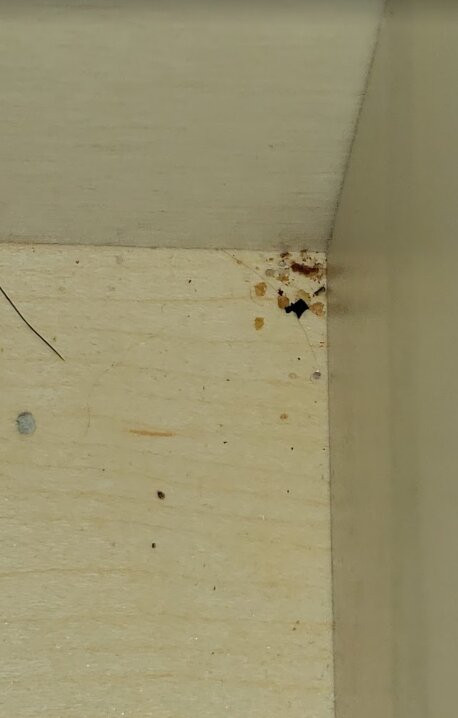 代顿康福特旅馆&套房酒店主图