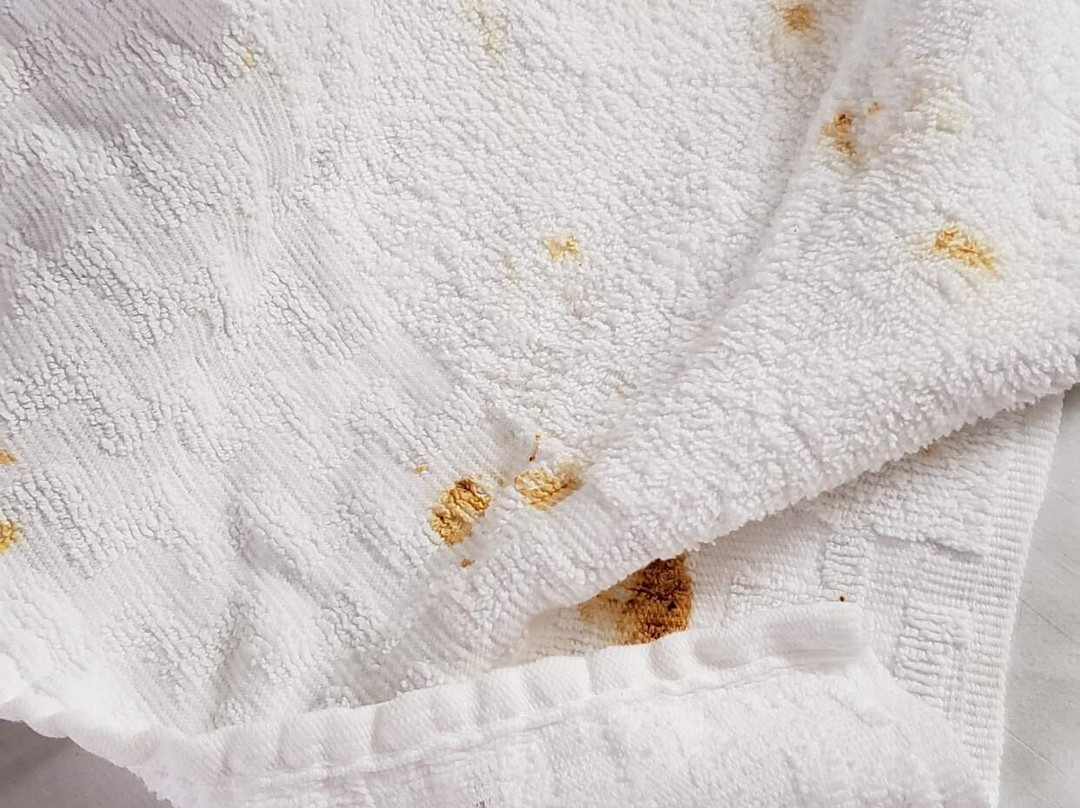 Best Western Acworth Inn主图