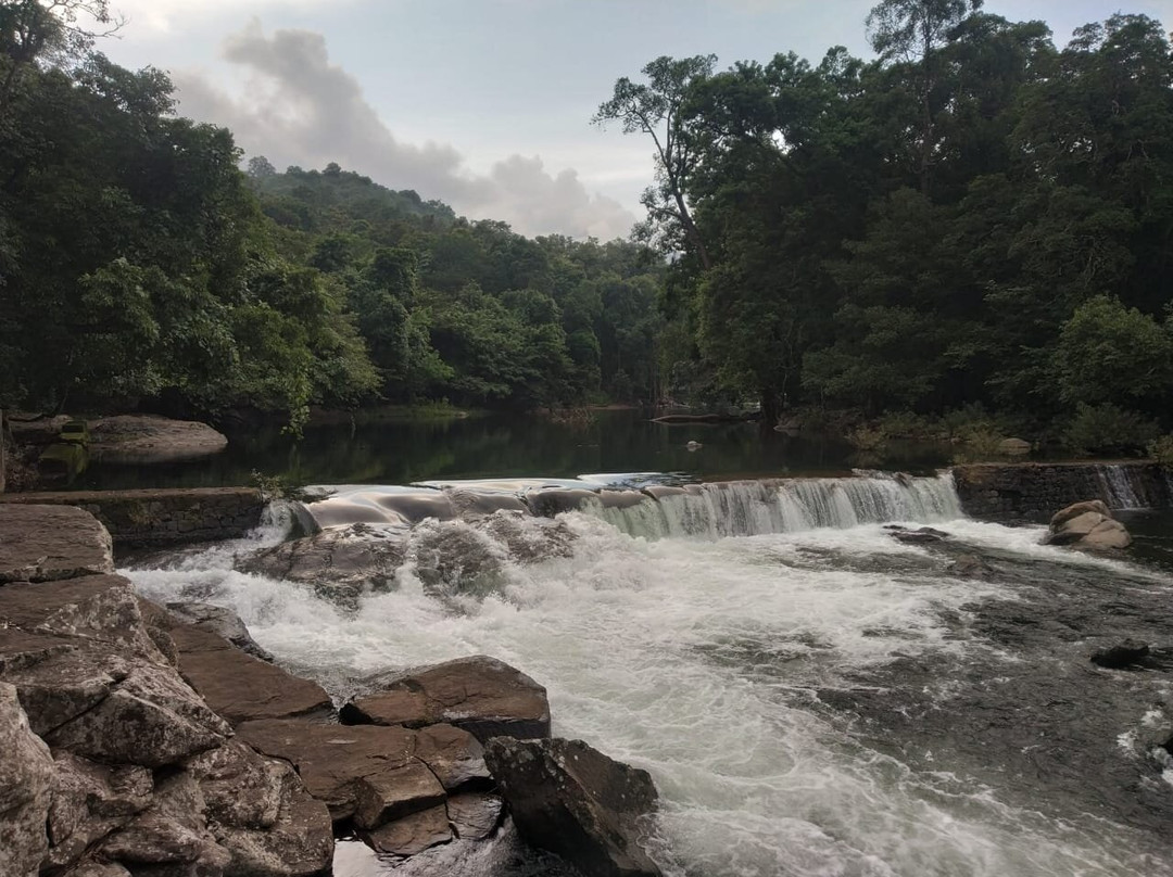 Tree Top Resort主图