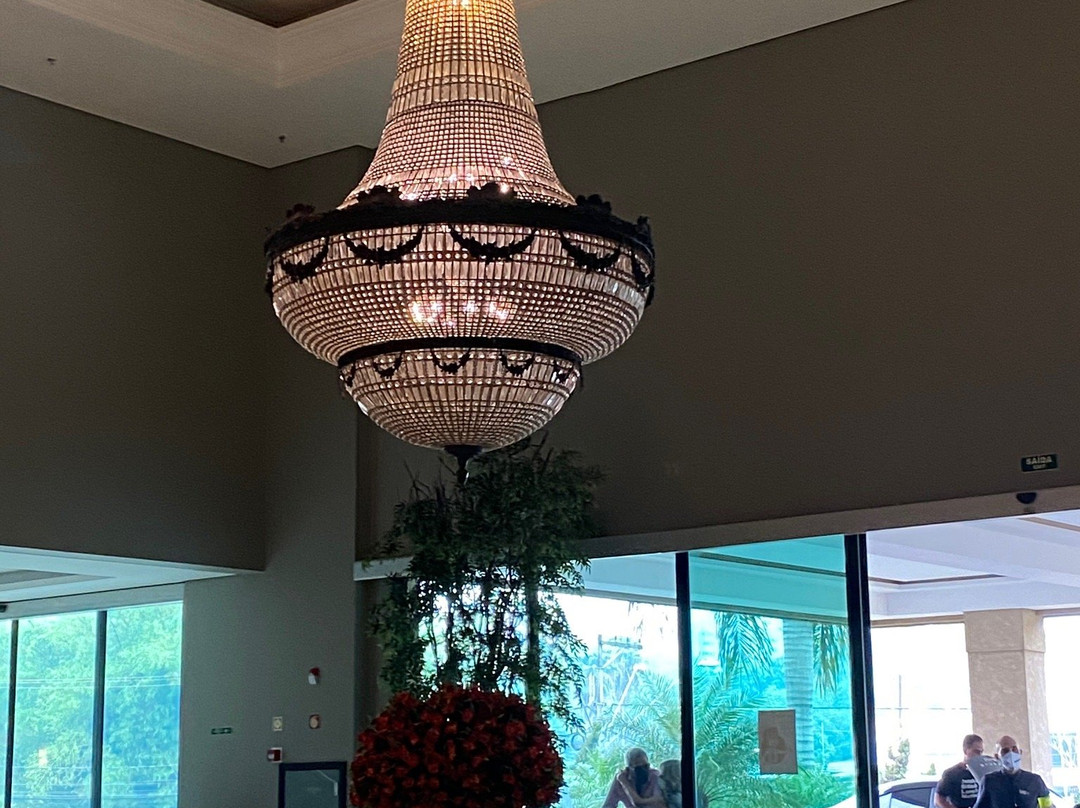 Hotel Araucária Plaza主图