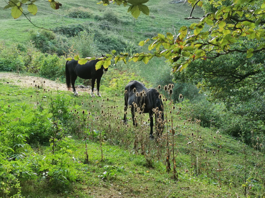 Hostal Venta San Blas主图