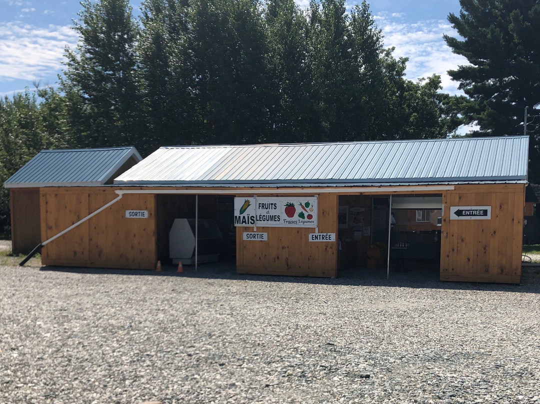 Ferme St-Elie-舍布鲁克必去景点