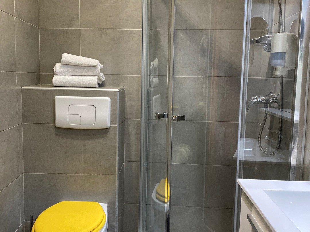 Hôtel du Palais主图