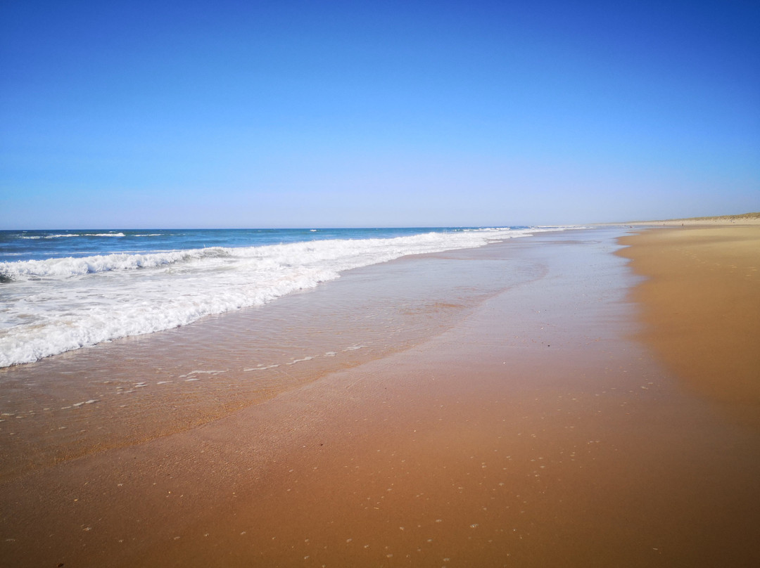 Plage de la Pointe Espagnole景点图片