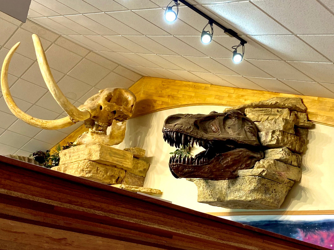 Creation Evidence Museum-Glen Rose必去景点