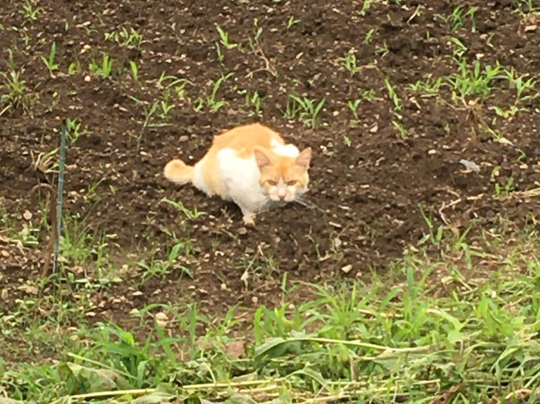 酒蔵レストラン 松風庵