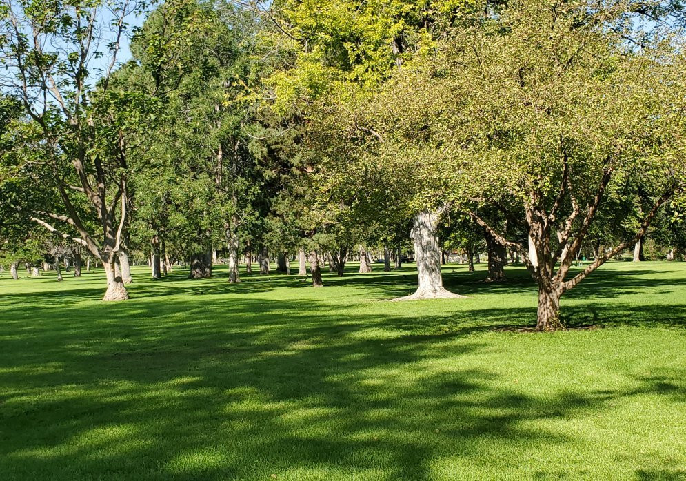 City Park景点图片