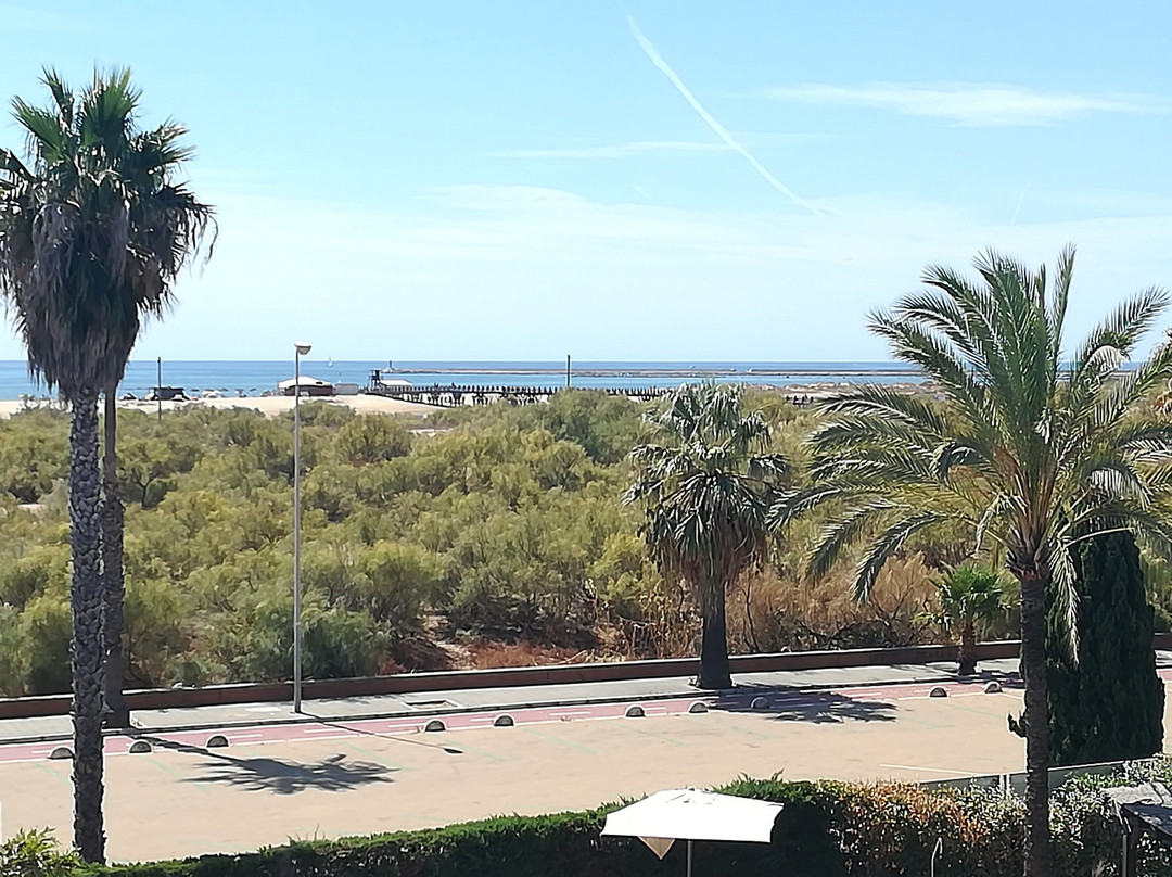Playa de La Gaviota景点图片