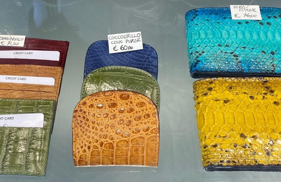 肌肤-佛罗伦萨必去景点