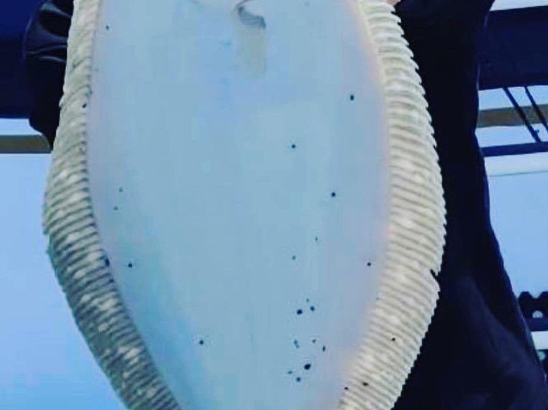 Freeport's Nautical Mile-自由港必去景点