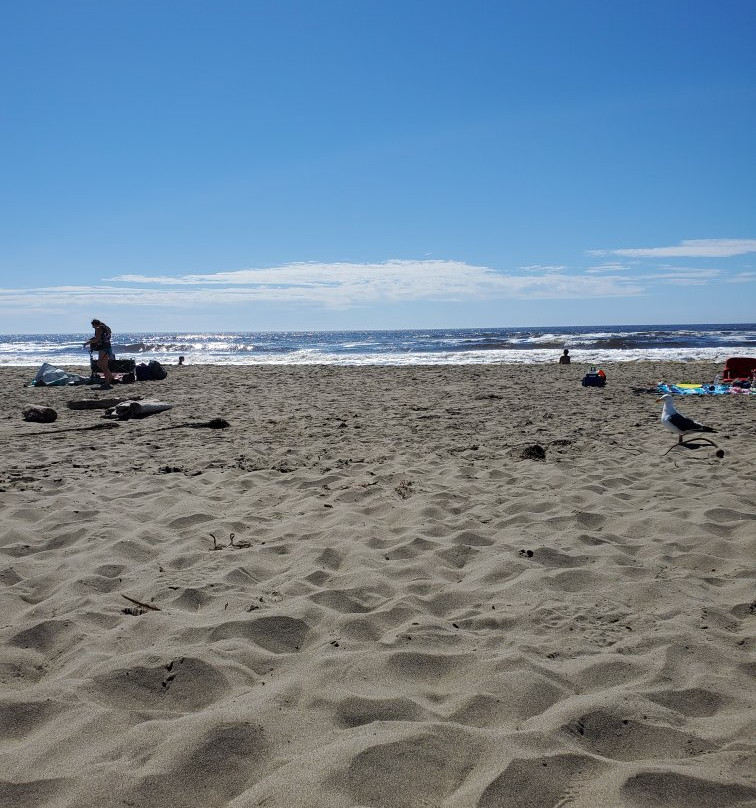 Sonoma Coast State Beach - Salmon Creek景点图片