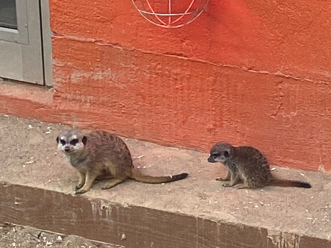 Fauna Park景点图片