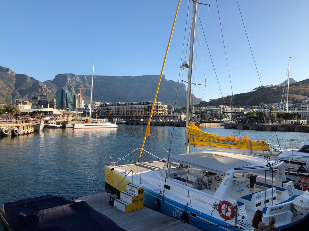 Elgin Africa-Elgin必去景点