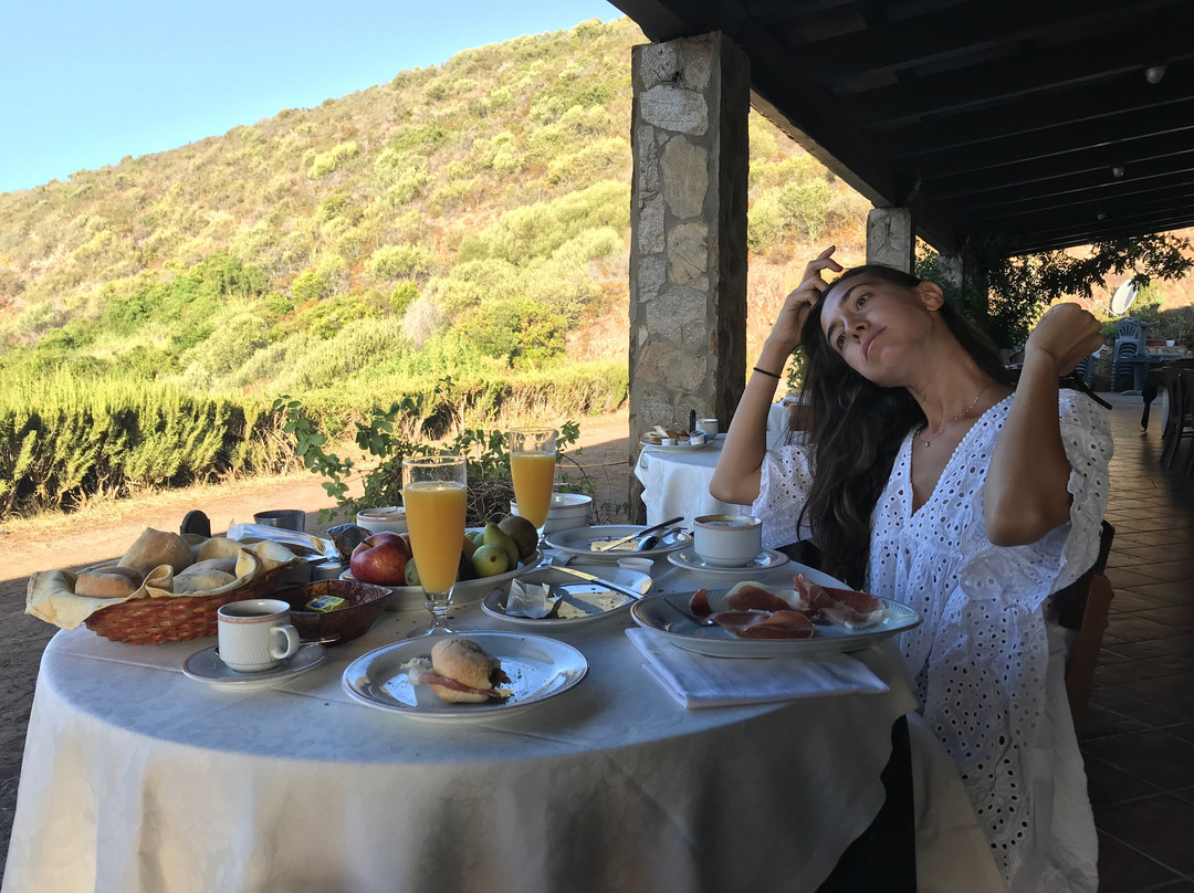 Hotel Sardus Pater主图