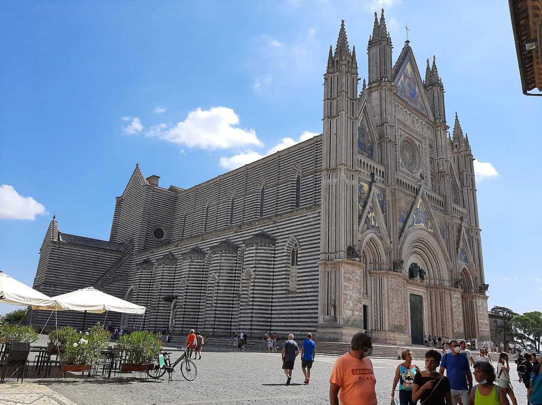 Fattoria La Cacciata主图