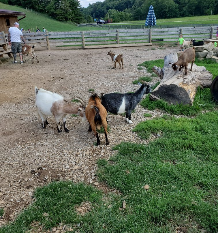 Fox's High Rock Farm-洛根必去景点
