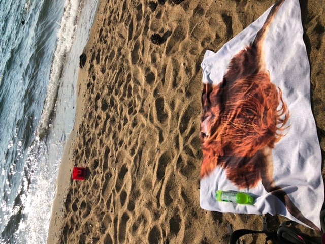 Round Hill Pines Beach and Marina-Zephyr Cove必去景点