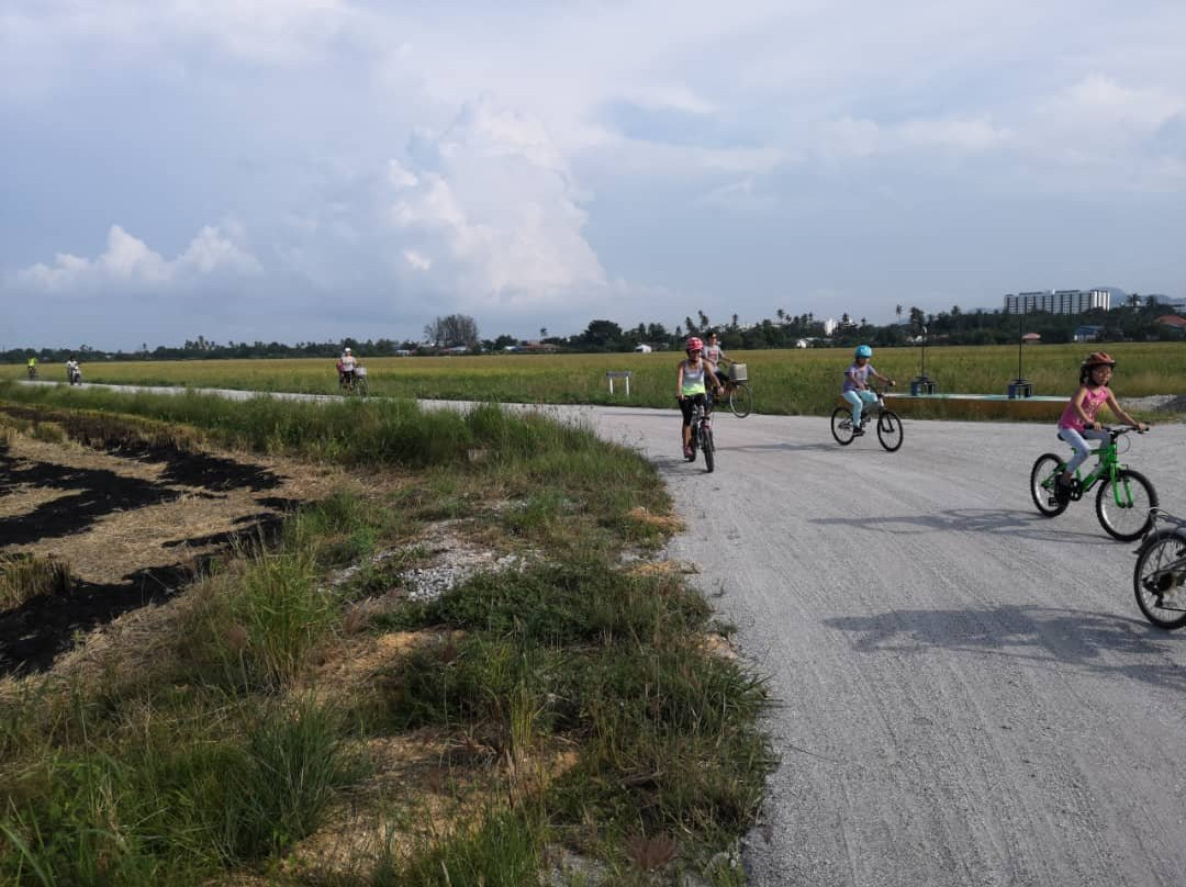 Cycling Balik Pulau景点图片