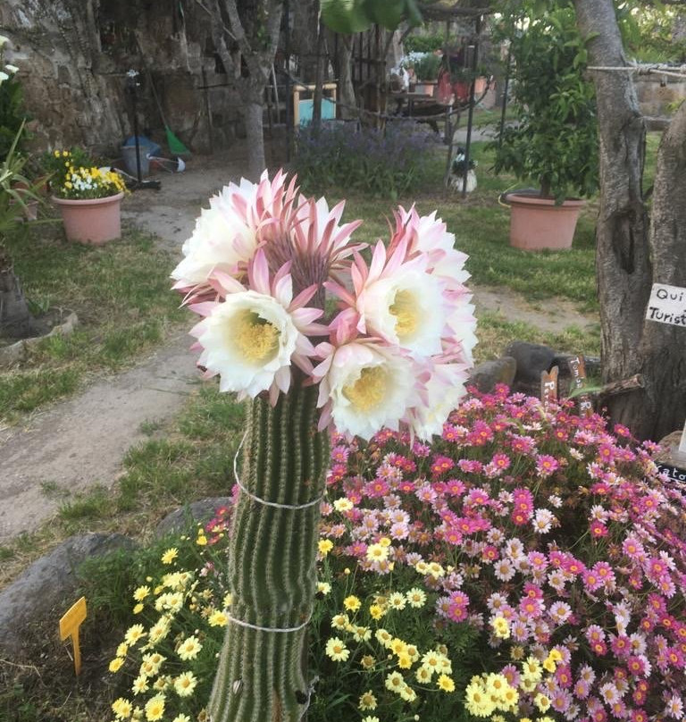 Giardino del Poeta景点图片