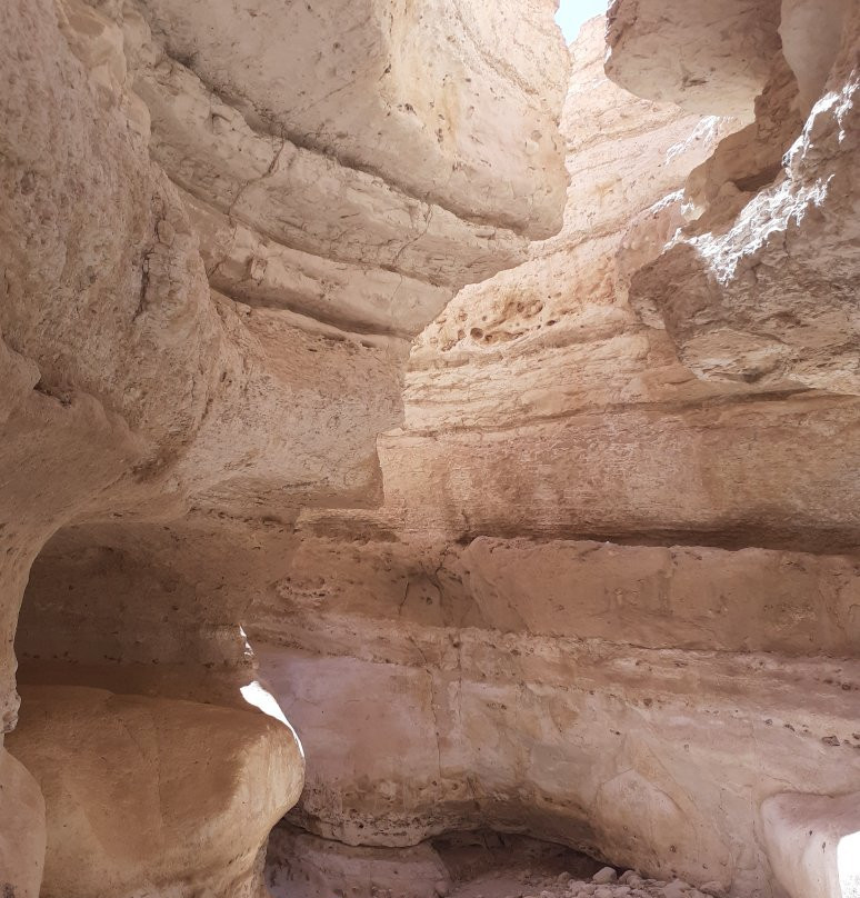 Tamerza Canyon-吐泽尔必去景点