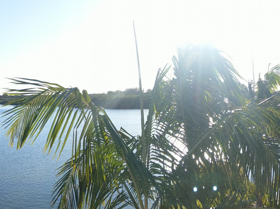 Sails Port Macquarie by Rydges主图