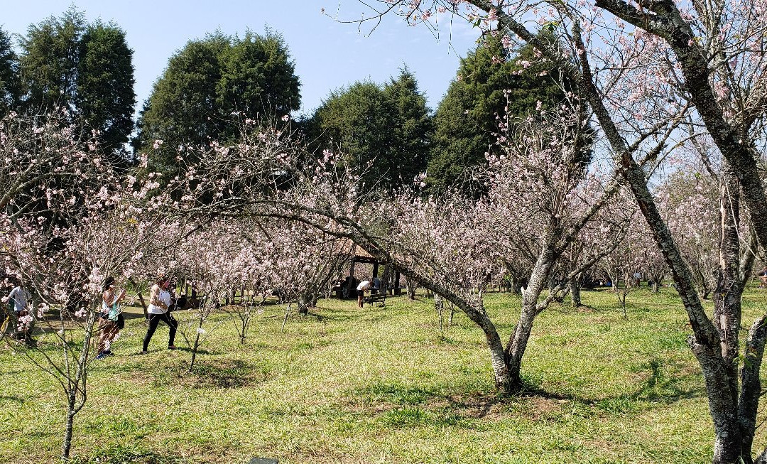 Parque do Carmo-圣保罗必去景点